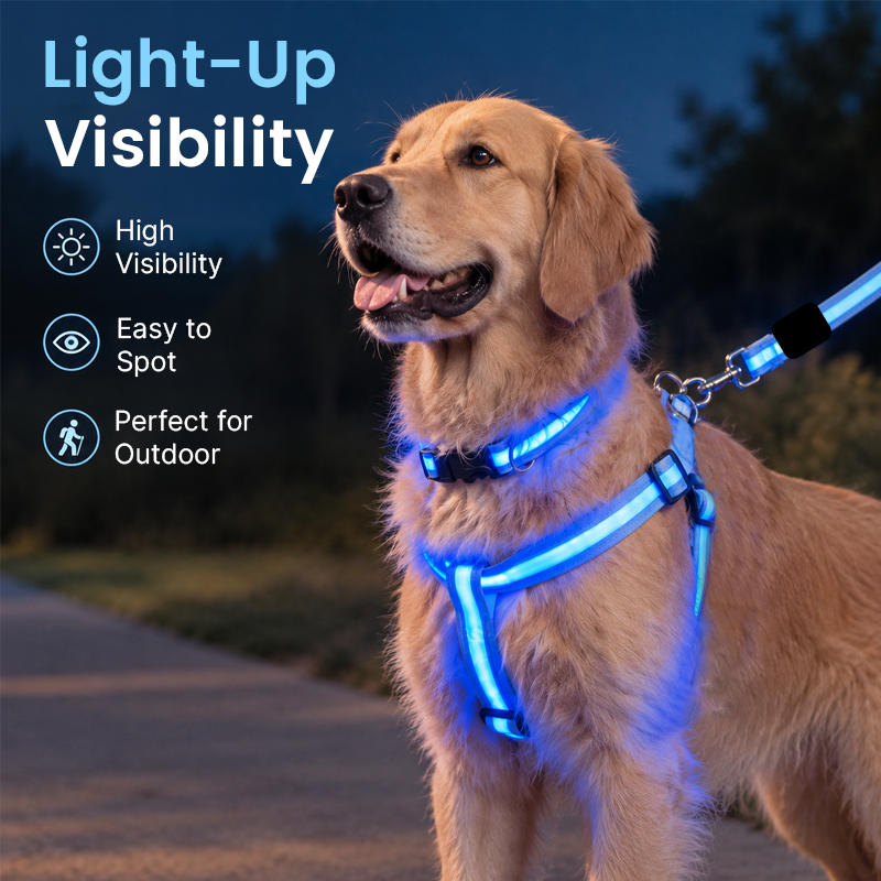 🐾✨ LED-oplyst hundesele og line-sæt