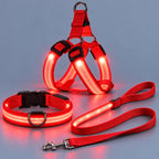 🐾✨ LED-oplyst hundesele og line-sæt