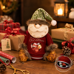 🎅 Julegaveposer med lynlås – perfekt til små gaver 🎁