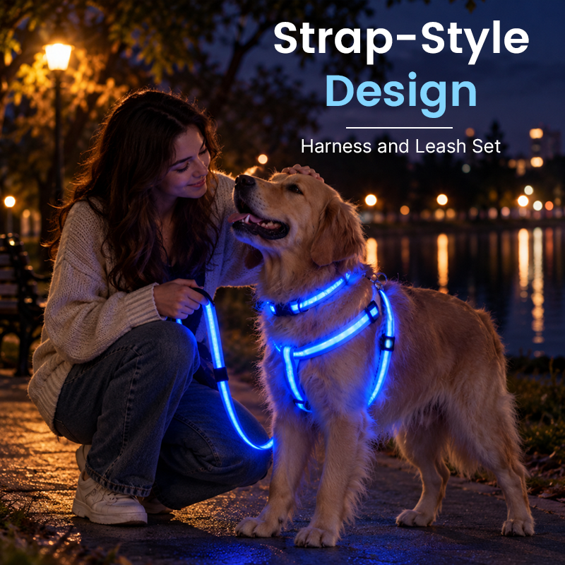 🐾✨ LED-oplyst hundesele og line-sæt