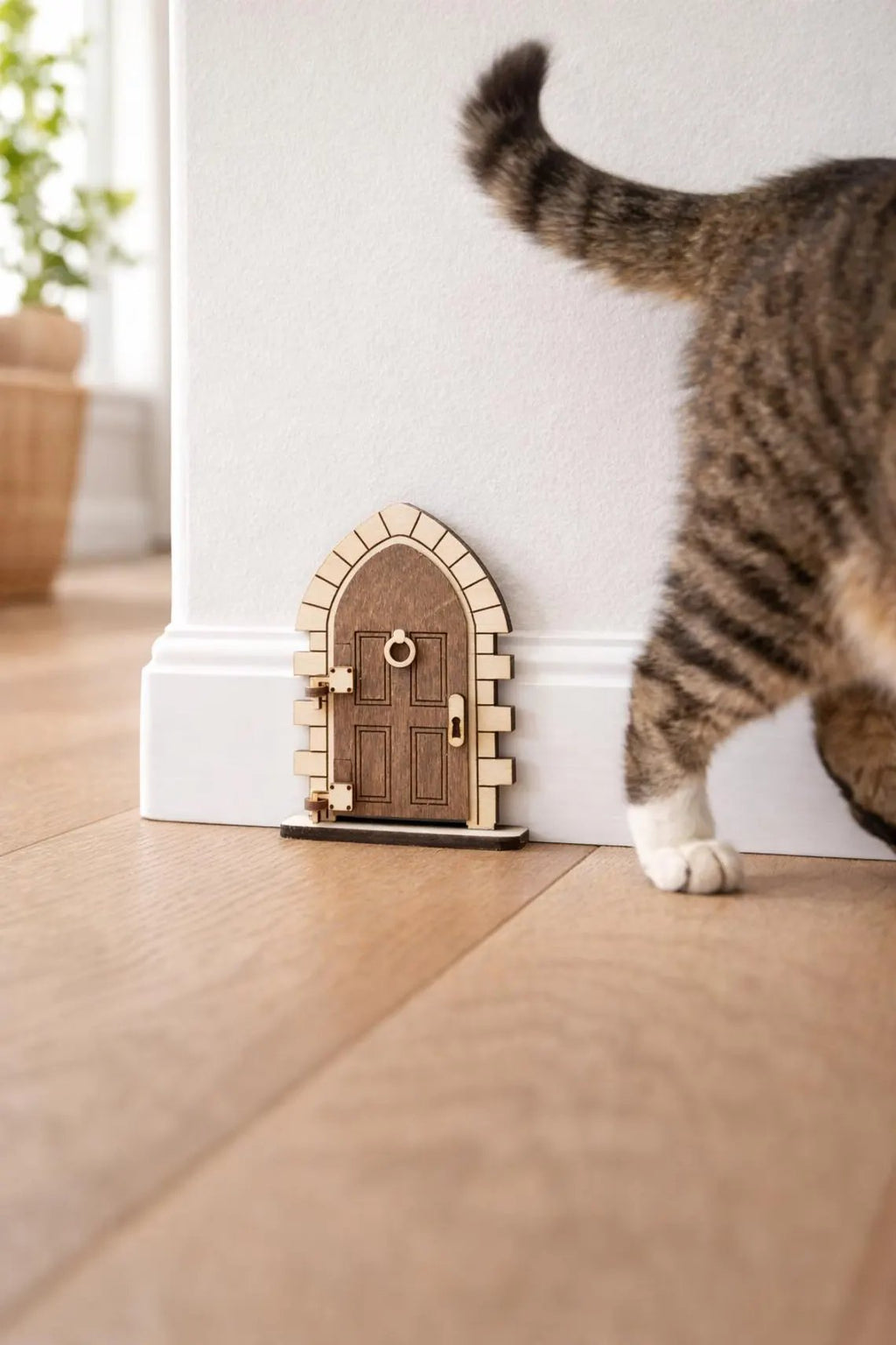 🚪✨ Nissedør – en lille hemmelig verden