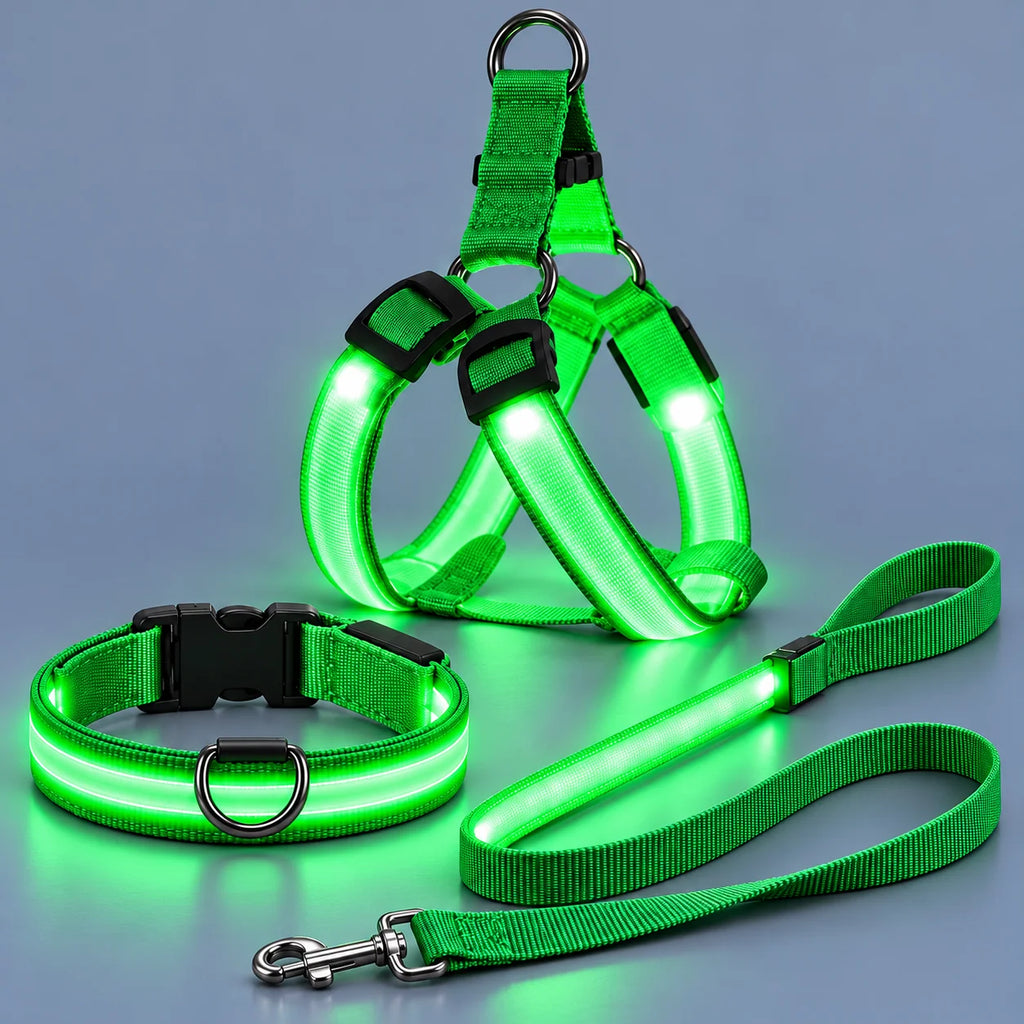 🐾✨ LED-oplyst hundesele og line-sæt