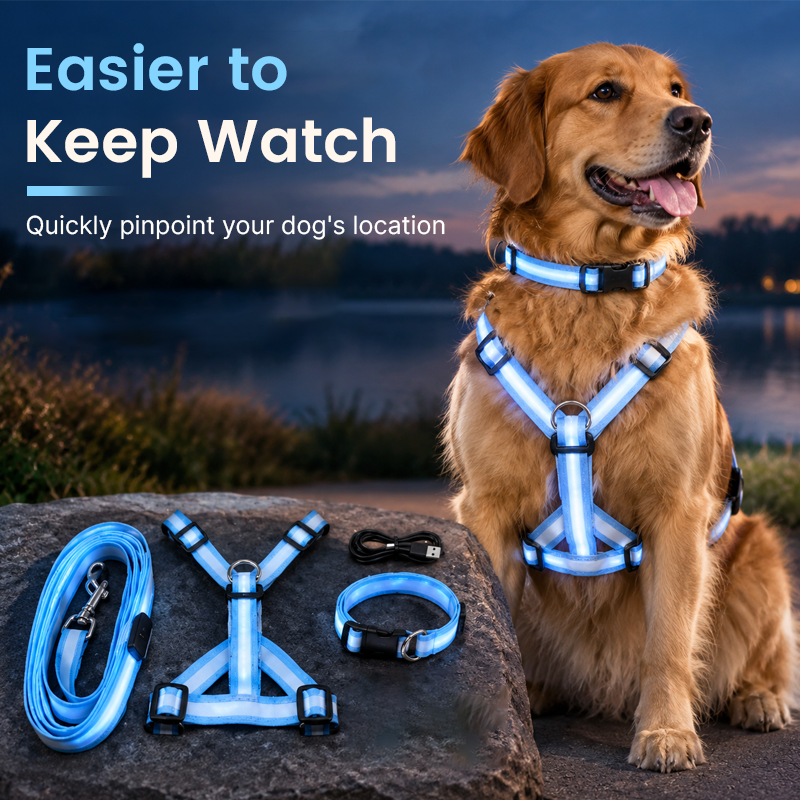 🐾✨ LED-oplyst hundesele og line-sæt