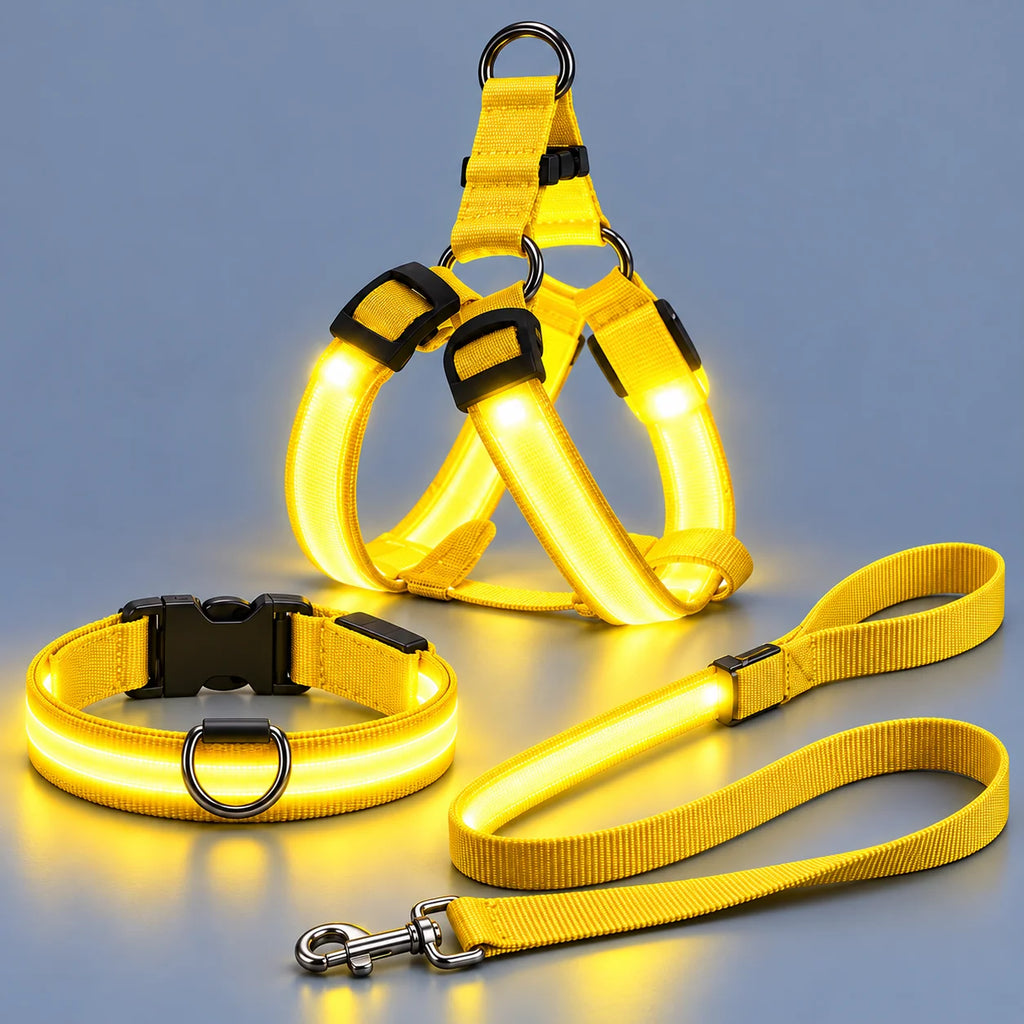 🐾✨ LED-oplyst hundesele og line-sæt