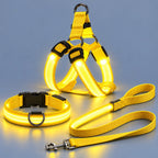 🐾✨ LED-oplyst hundesele og line-sæt