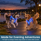 🐾✨ LED-oplyst hundesele og line-sæt