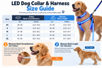 🐾✨ LED-oplyst hundesele og line-sæt
